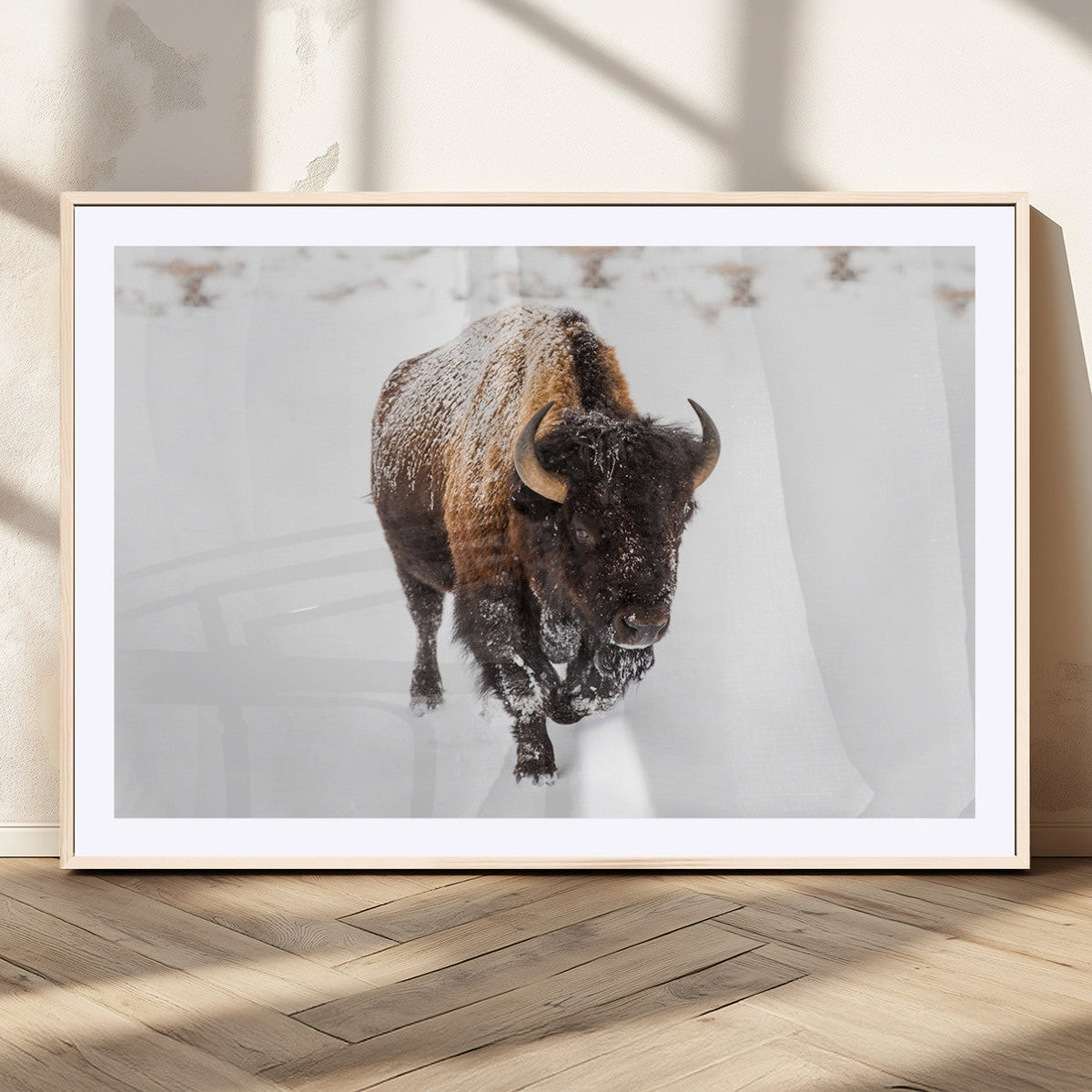 Bison Winter Wall Art Canvas Print For Farmhouse Decor