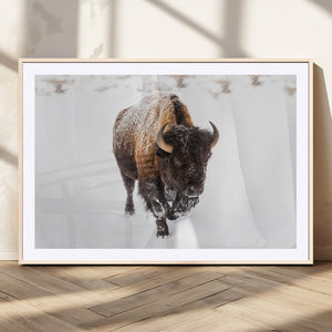Bison Winter Wall Art Canvas Print For Farmhouse Decor