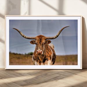 Texas Longhorn Wall Art Print, Framed Longhorn Cow Wall Art