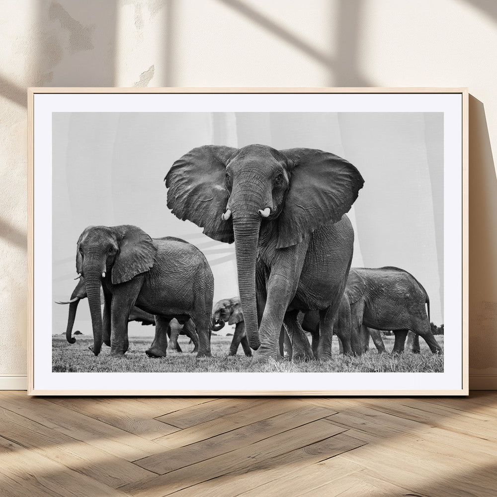 Black White Elephant Family Wall Art Canvas Print