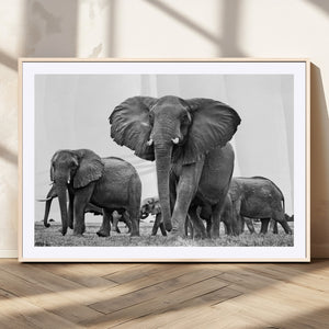 Black White Elephant Family Wall Art Canvas Print