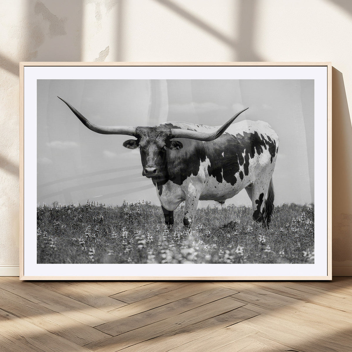 Texas Black White Highland Longhorn Cow Wall Art Canvas