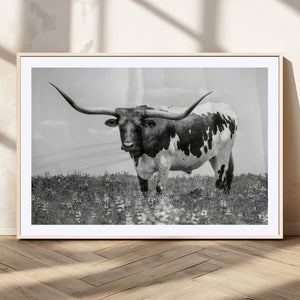 Texas Black White Highland Longhorn Cow Wall Art Canvas