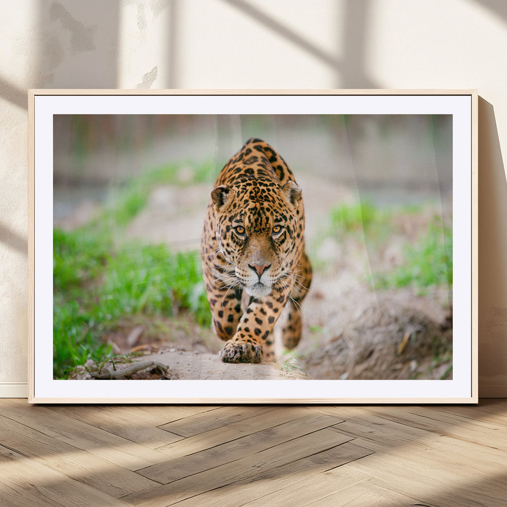 Leopard on the Prowl - Stunning Large Framed Leopard Wall