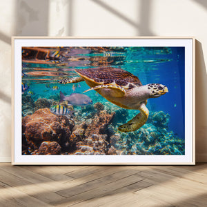 Sea Turtle Wall Art Canvas Print – Vibrant Ocean Coral Reef
