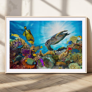 Colorful Coral Reef and Sea Life Turtle Canvas Print,