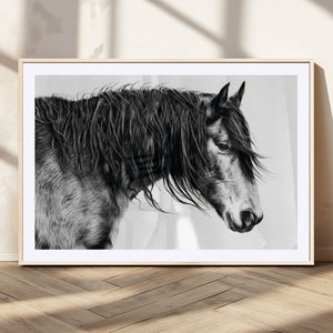 Majestic Horse Wall Art – Framed Black White Portrait Canvas