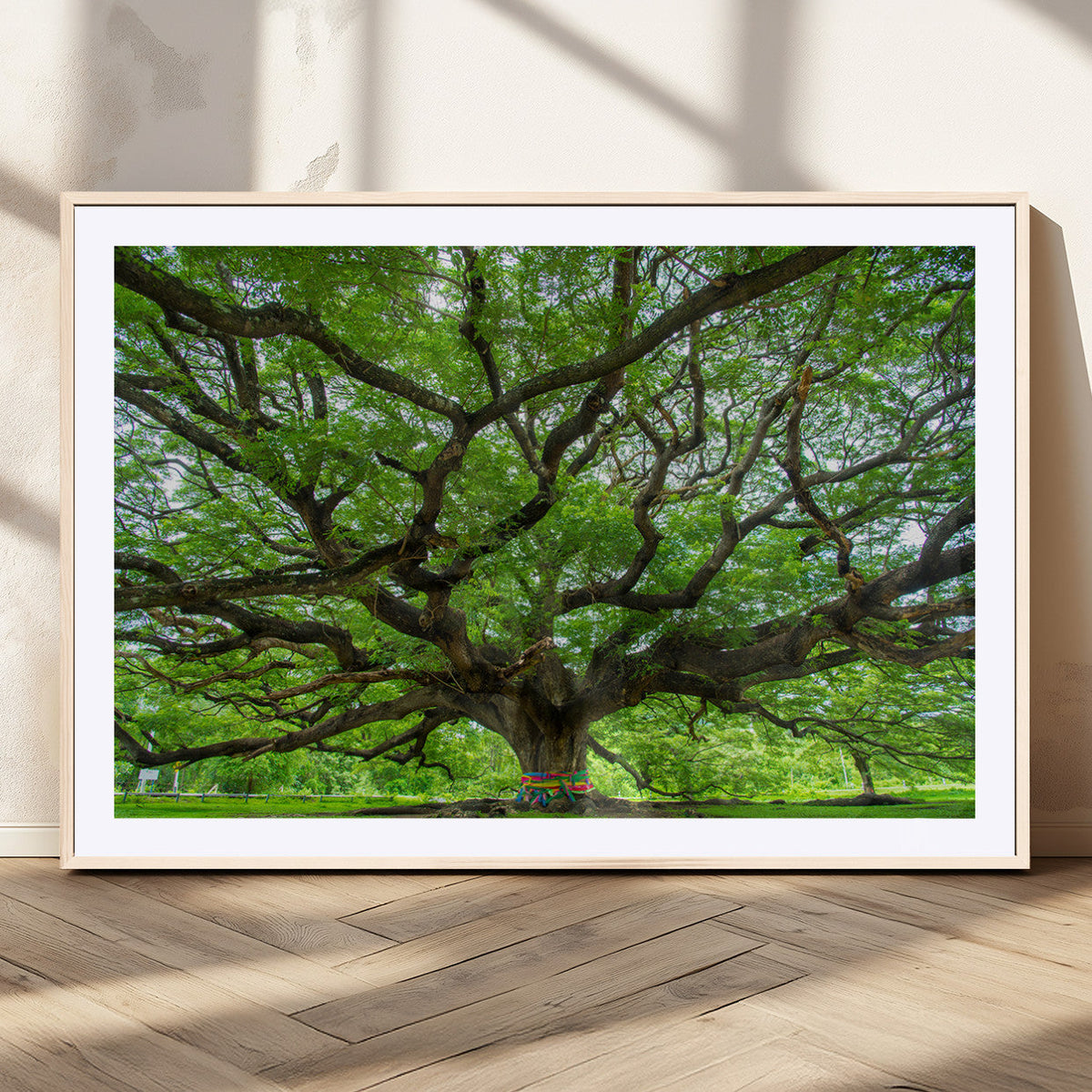 Angel Oak Tree Wall Art Canvas Print – Framed Majestic