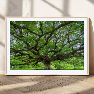 Oak Tree Wall Art Print, Forest Canvas Wall Art for Home and