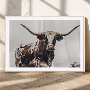 Texas Longhorn Wall Art Canvas Print – Framed Spotted Bull