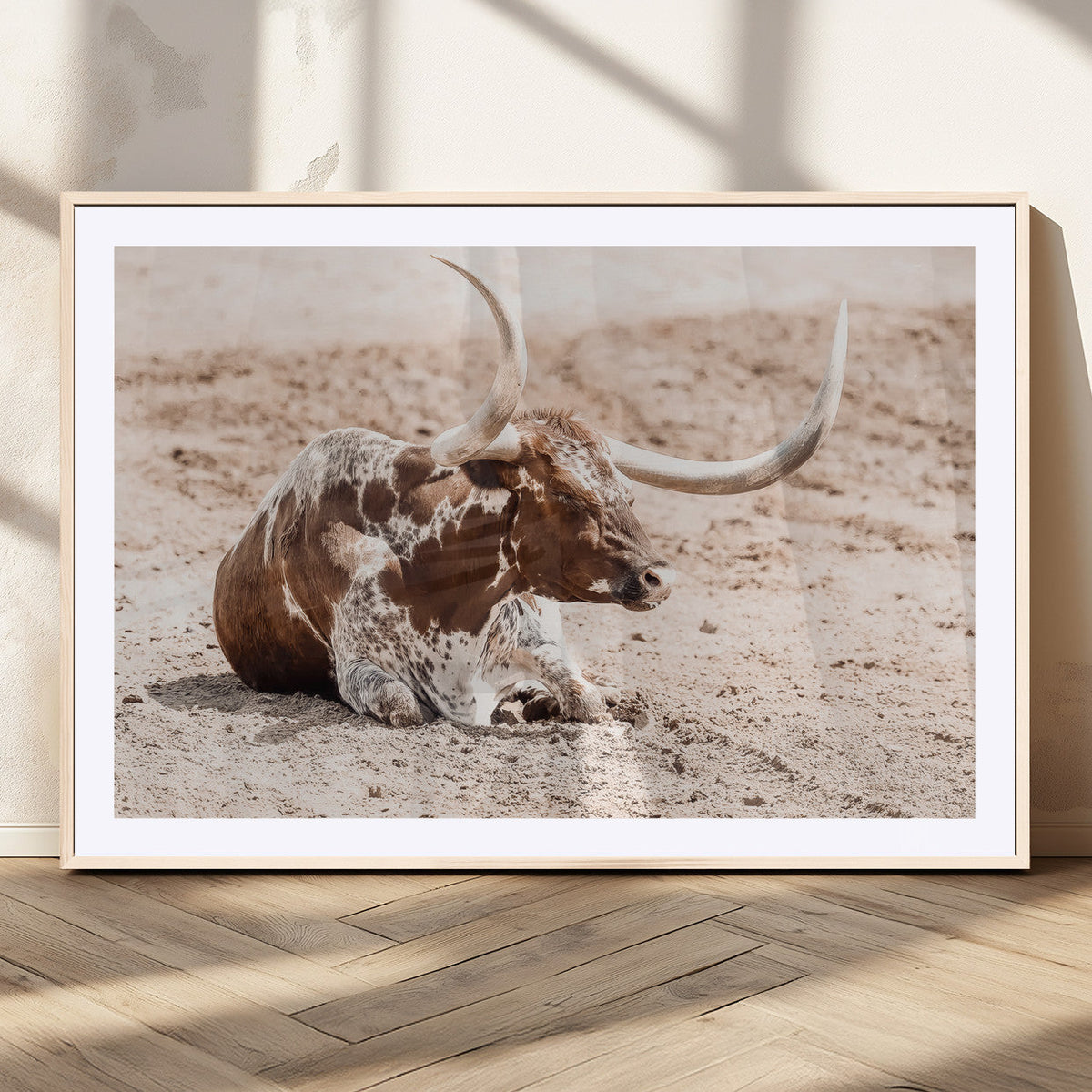 Texas Longhorn Wall Art Canvas Print – Framed Resting Bull