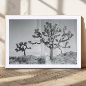 Joshua Tree Wall Art Canvas Print – Framed Black White