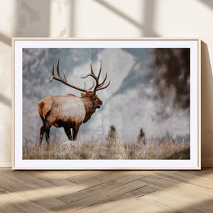 Elk Photography Wall Art Canvas Print – Framed Mountain