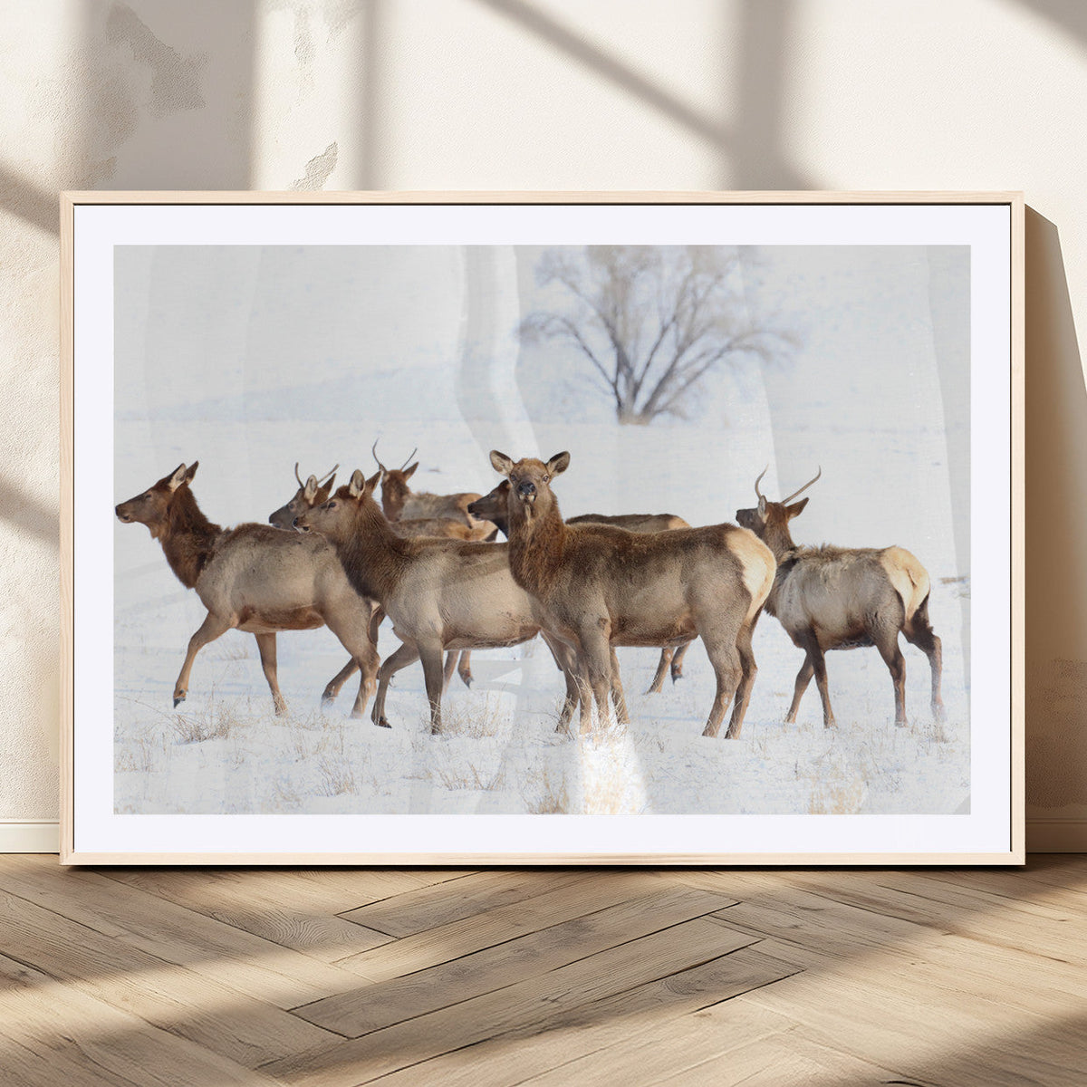 Winter Elk Scene Wall Art Canvas Print – Framed Wildlife