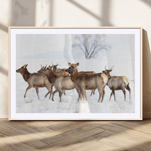 Winter Elk Scene Wall Art Canvas Print – Framed Wildlife