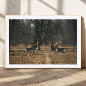 Deer Wall Art Canvas Print – Framed Rustic Wildlife Art