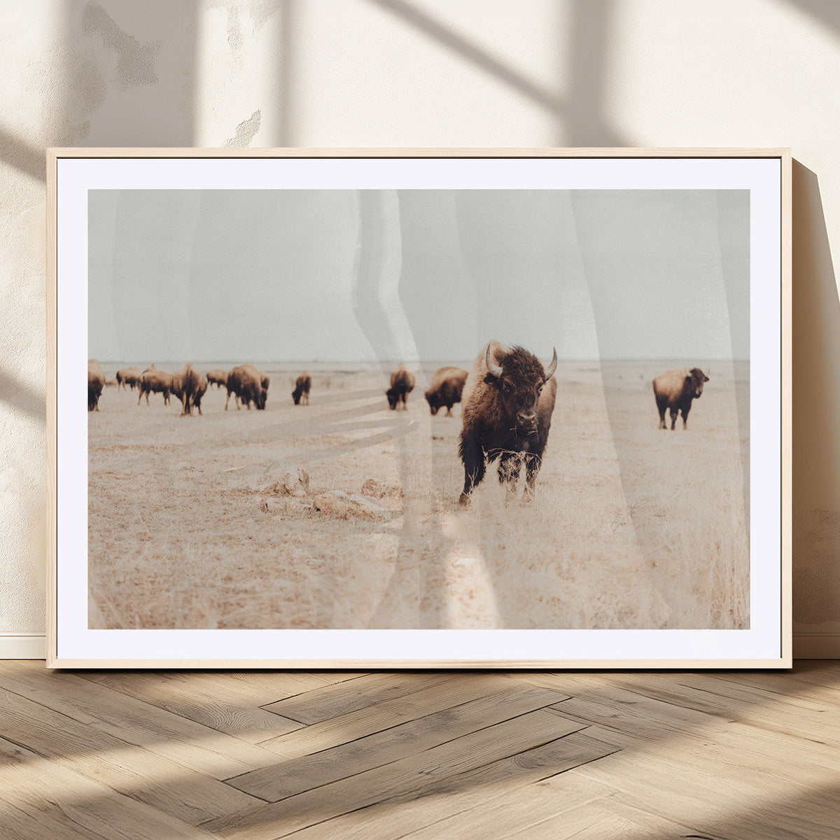 Bison Herd Wall Art Canvas Print, Framed Western Landscape