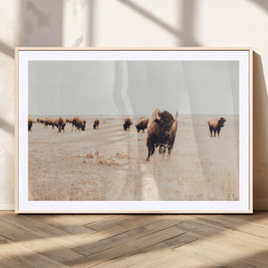 Bison Herd Wall Art Canvas Print, Framed Western Landscape