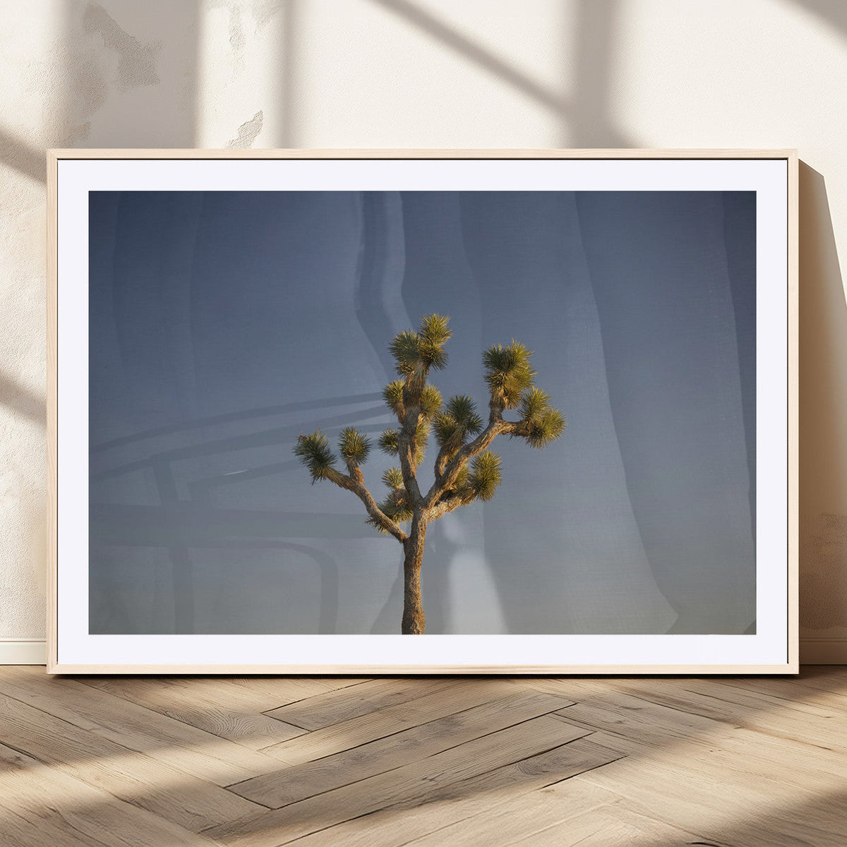 Joshua Tree Wall Art Canvas Print – Framed Southwestern