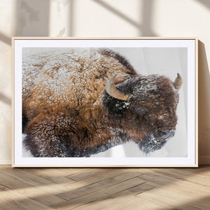 Snowy Buffalo Wall Art Canvas Print – Framed Rustic Lodge