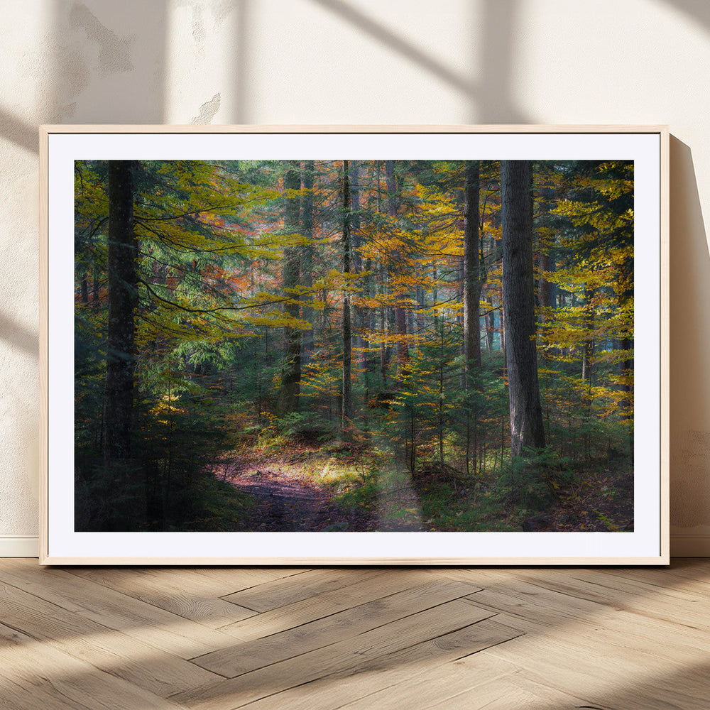 Autumn Forest Wall Art Canvas Print – Framed Fall Woodland