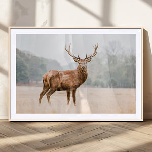 Vintage Wildlife Wall Art Canvas Print – Misty Landscape