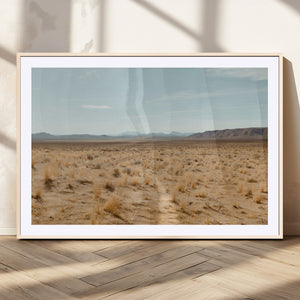 Desert Plains Wall Art Canvas Print, Golden Light Over Dry