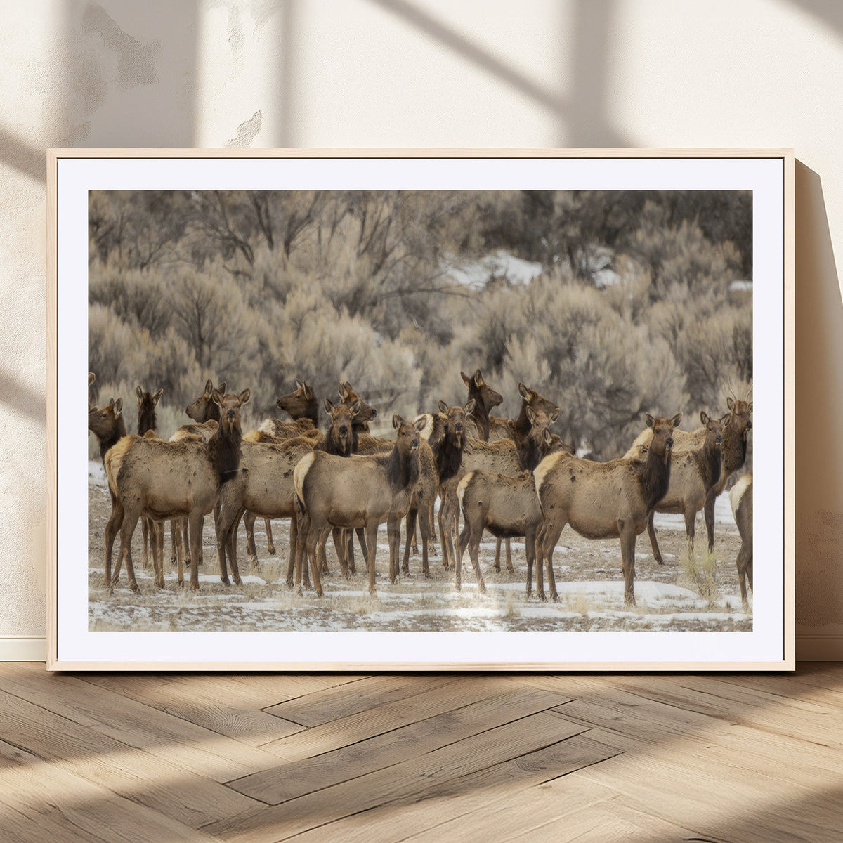 Majestic Elk Herd Winter Canvas, Elk Herd Winter Landscape