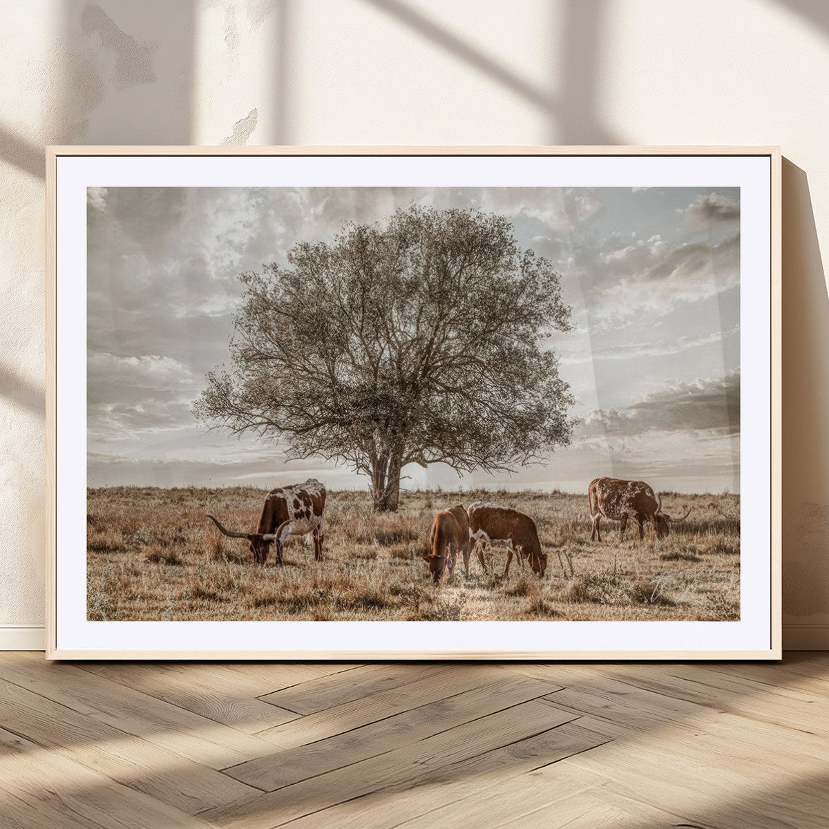 Texas Longhorn Cattle Wall Art, Rustic Western Ranch Canvas