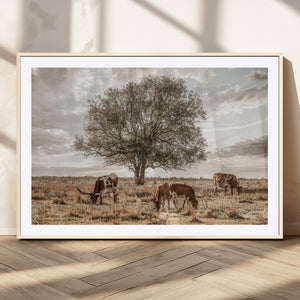 Texas Longhorn Cattle Wall Art, Rustic Western Ranch Canvas
