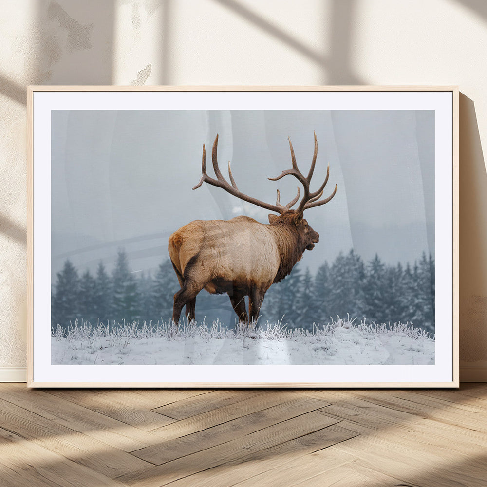 Majestic Elk Snowy Forest Wall Art Canvas Print – Winter