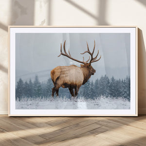 Majestic Elk Snowy Forest Wall Art Canvas Print – Winter