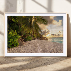 Tropical beach sunset, palm trees, white sand, ocean waves,
