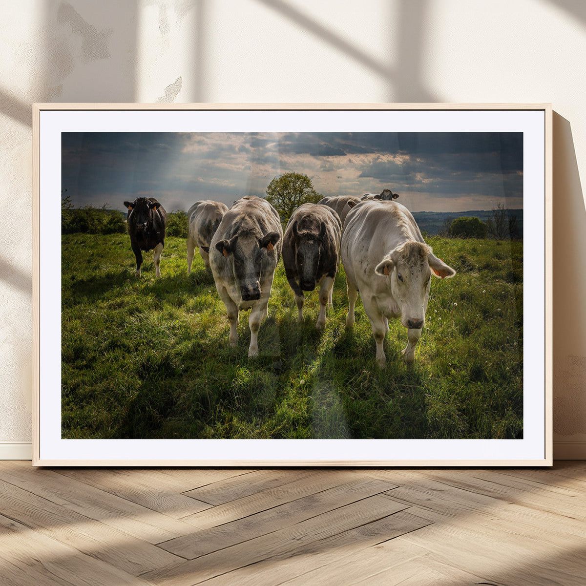 Grazing Cattle Herd Wall Art Canvas Print, Majestic Farm