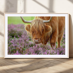 Highland Cow Wall Art – Purple Flowers Pasture Scenic