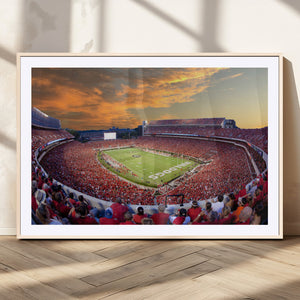 Dooley Stadium Wall Art, Sports Arena Canvas Print, Dooley