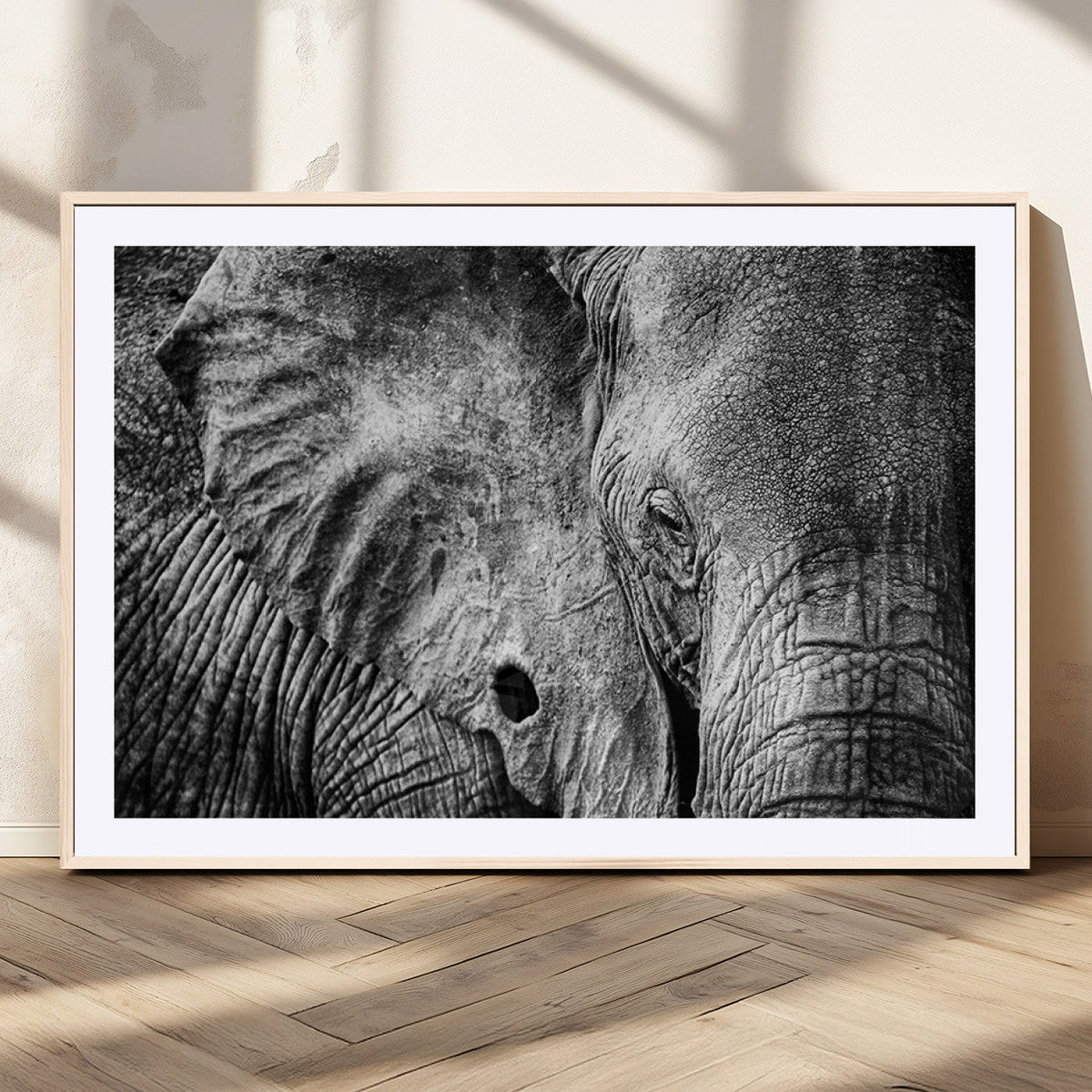 Wild Old Elephant Wall Art Canvas Print
