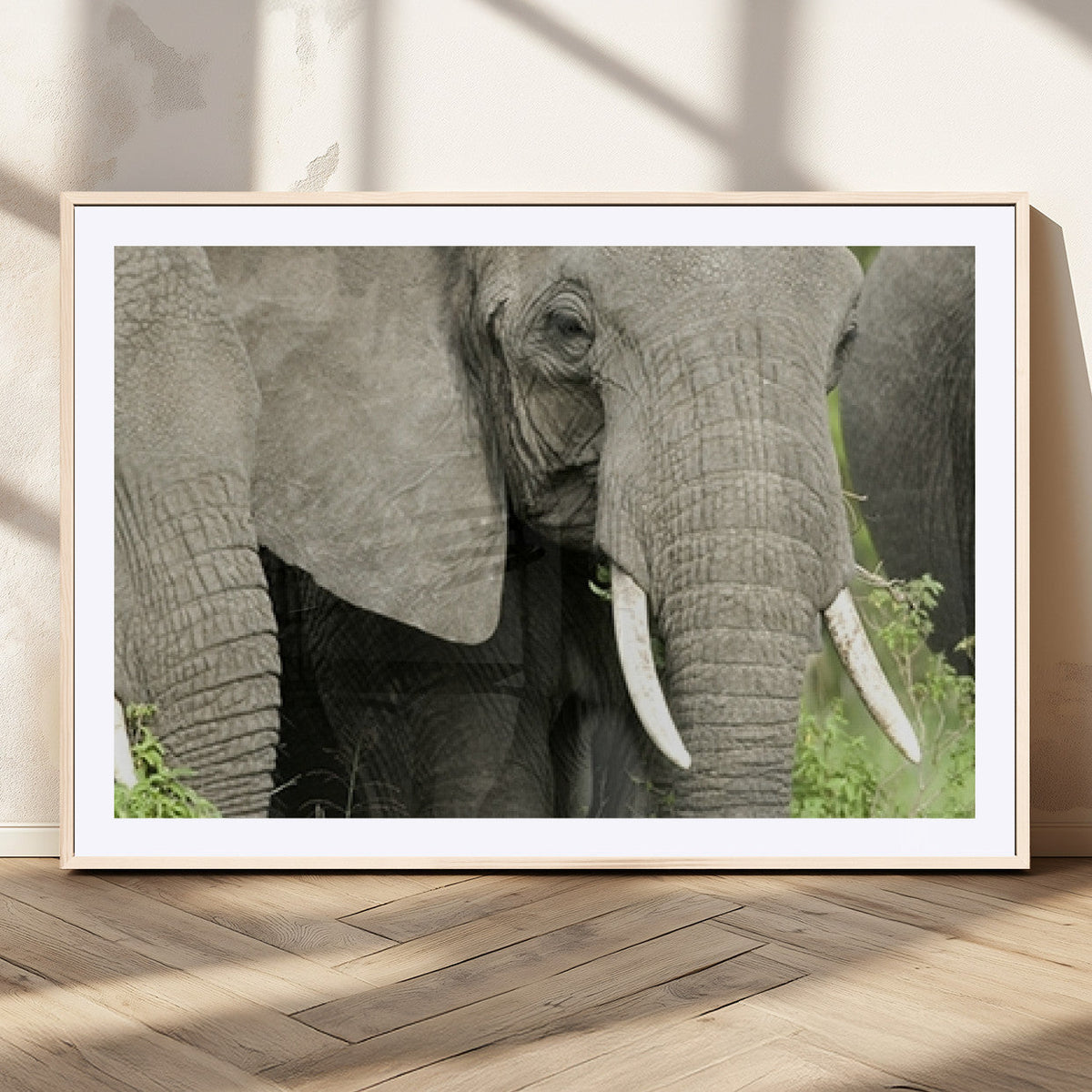 Wild Elephant Wall Art Canvas Print