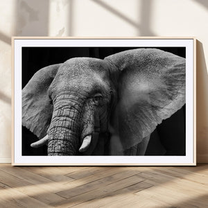 Big Elephant Close Up Wall Art Canvas Print
