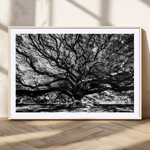 Mighty Angel Oak Wall Art | Angel Oak Tree Art Print