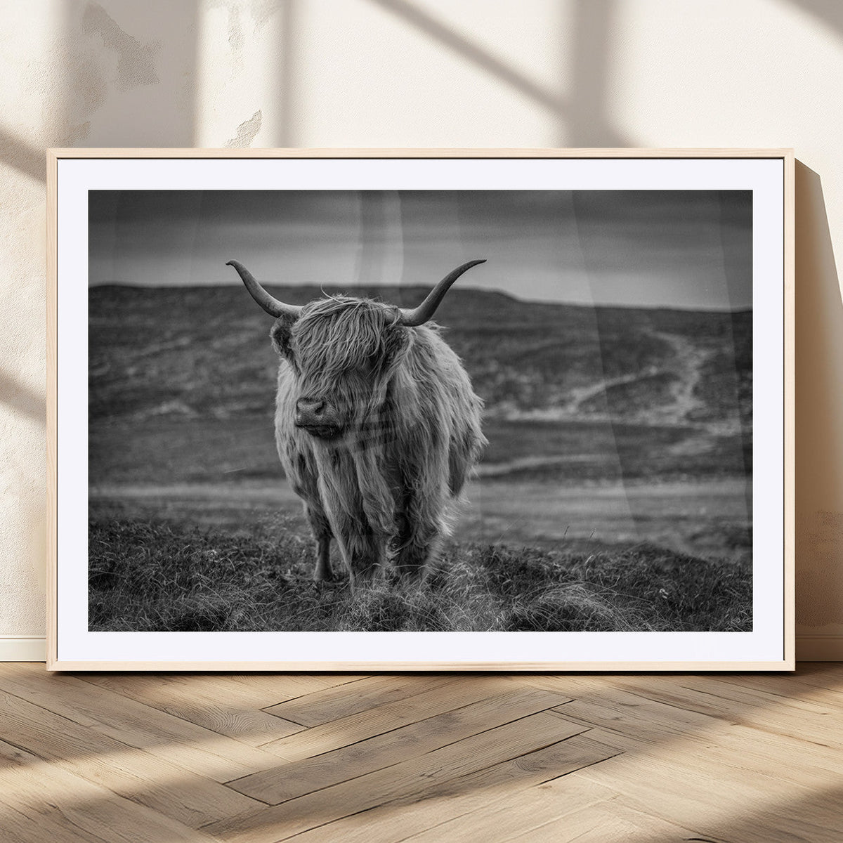 Fluffy Cattle Wall Art Print, Highland Cow Canvas, Framed