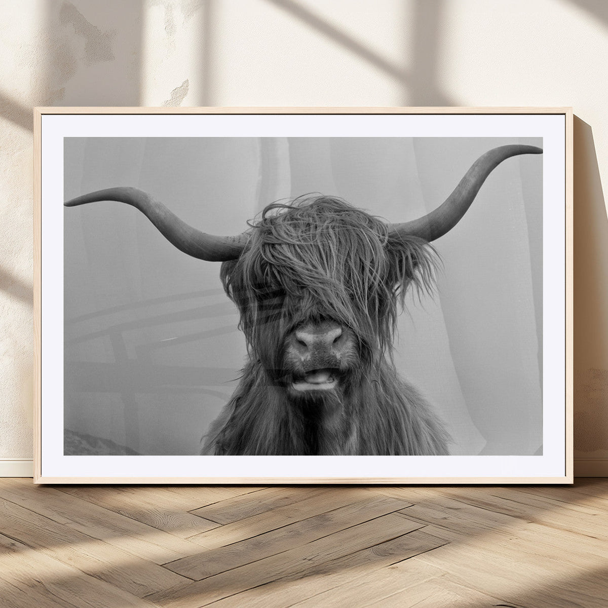 Texas Cow Wall Art Canvas, Texas Longhorn Cattle Canvas