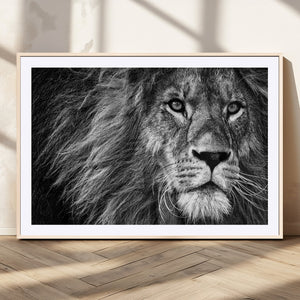 Black and White Lion Canvas Wall Art Print – Wildlife