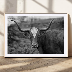 Western Home Wall Art Canvas Print, Framed Texas Longhorn