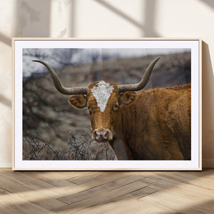 Texas Longhorn Canvas Wall Art - Longhorn Steer Canvas Wall