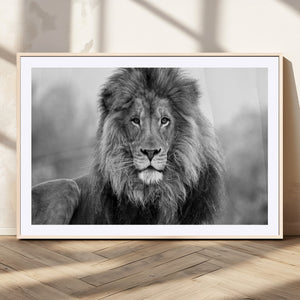 Black and White Lion Canvas Wall Art – Animal Print Artwork