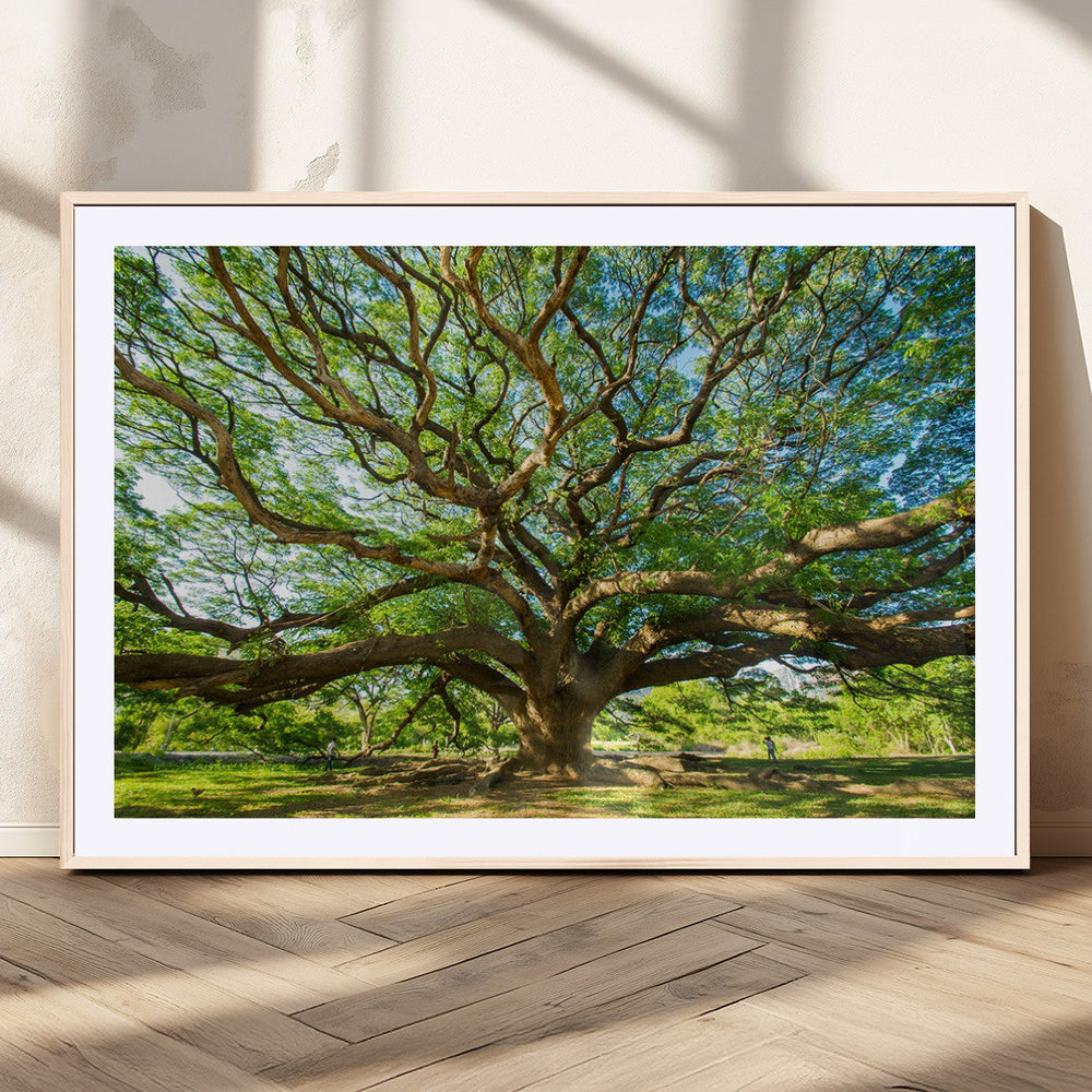 Majestic Oak Tree Wall Art – Serene Nature Canvas Print with