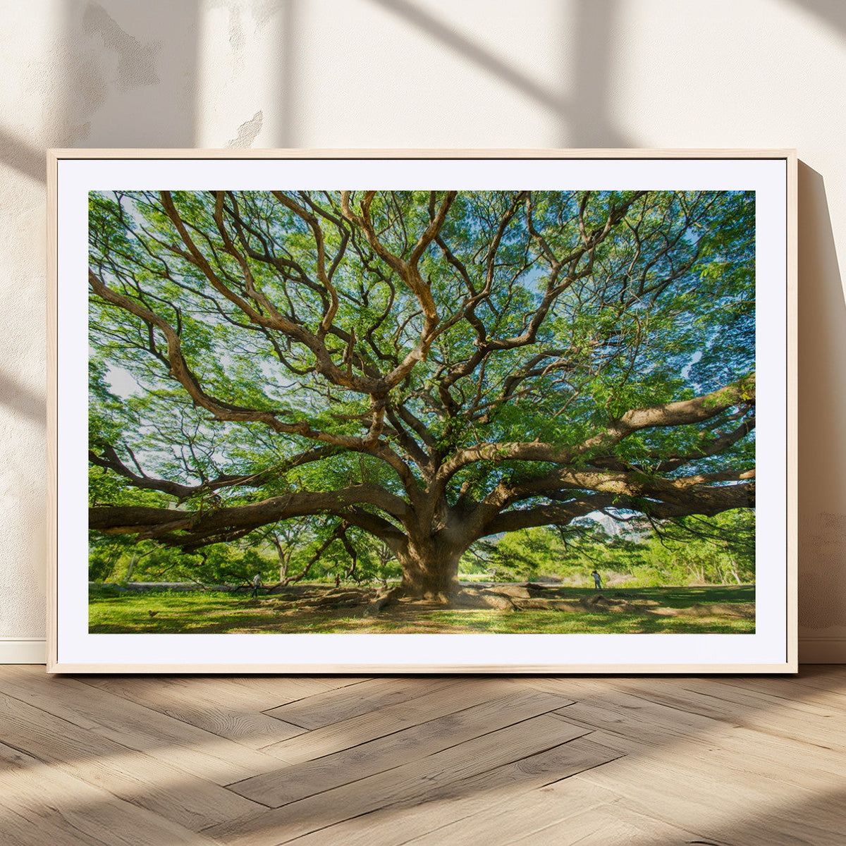 Majestic Oak Tree Wall Art – Serene Nature Canvas Print with