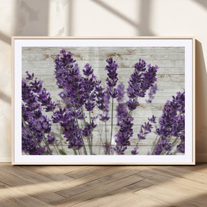 Lavender Herb Wall Art Canvas Print