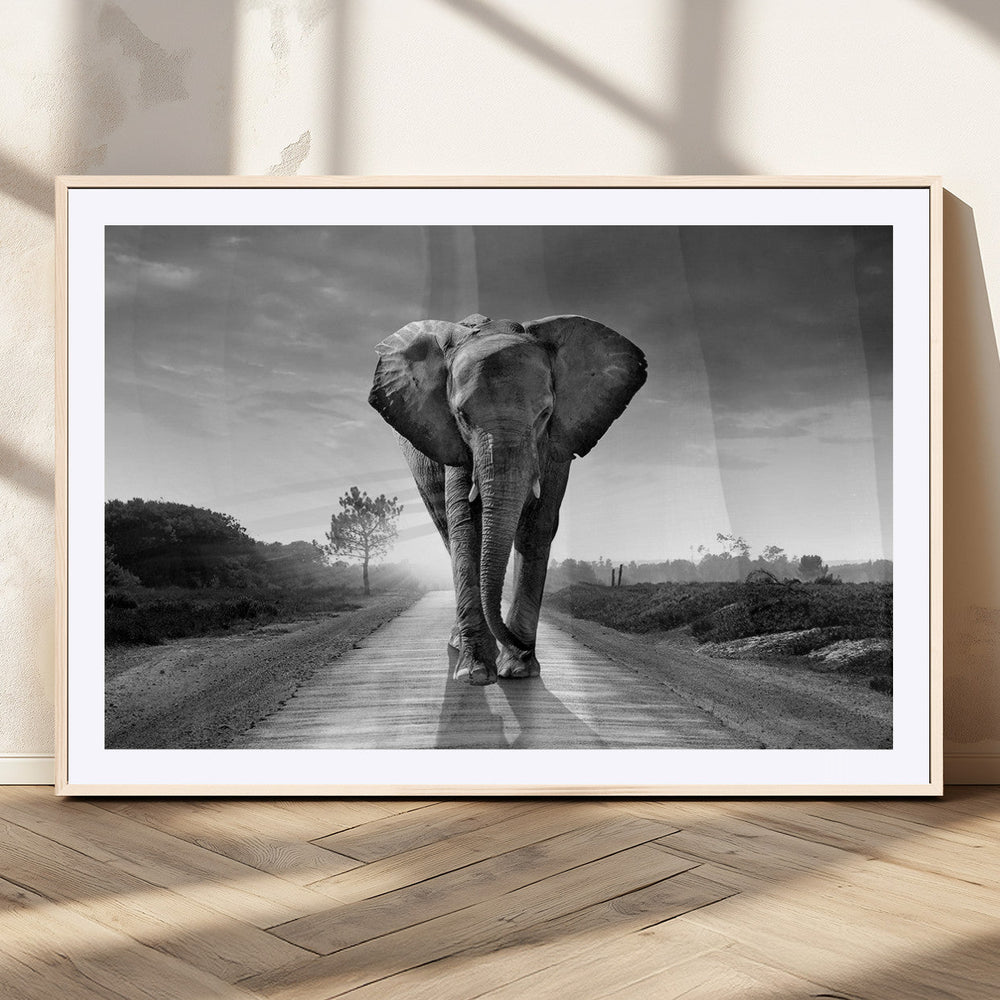Black and White Elephant Wall Art Canvas Print
